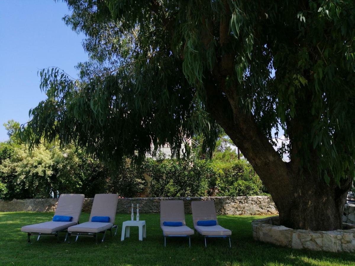 Cedar Tree Villa Kounoupidhiana Luaran gambar